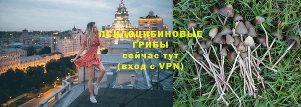 прущий лед Аркадак