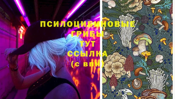 прущий лед Аркадак