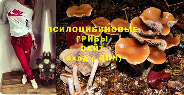 экстази Армянск